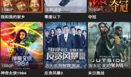 珠海海王爆料视频下载,一场惊心动魄的职场风云