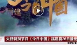 东南卫视在线观看回放,在线回放重温经典瞬间