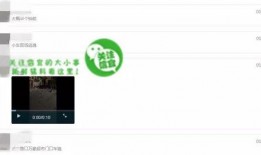 网络最新爆料视频大全,视频大全背后的惊人真相