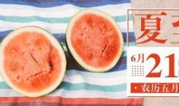 免费吃瓜的公众号,带你领略网络世界的趣味盛宴